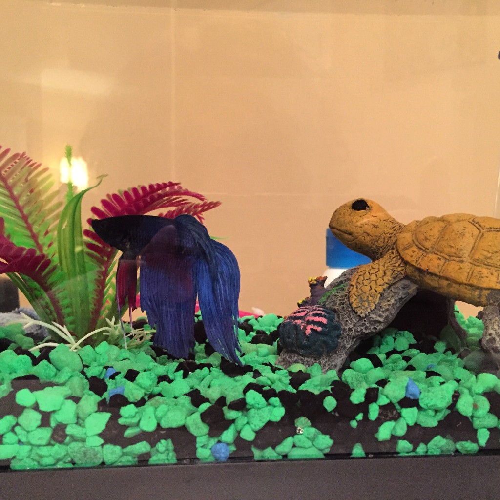 Fishie