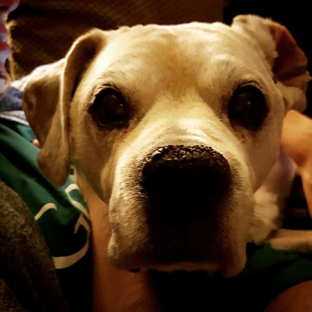 Rocky
