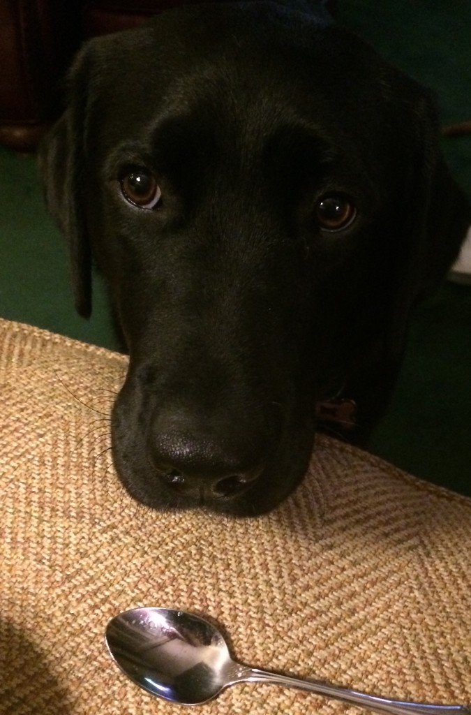 Cleo