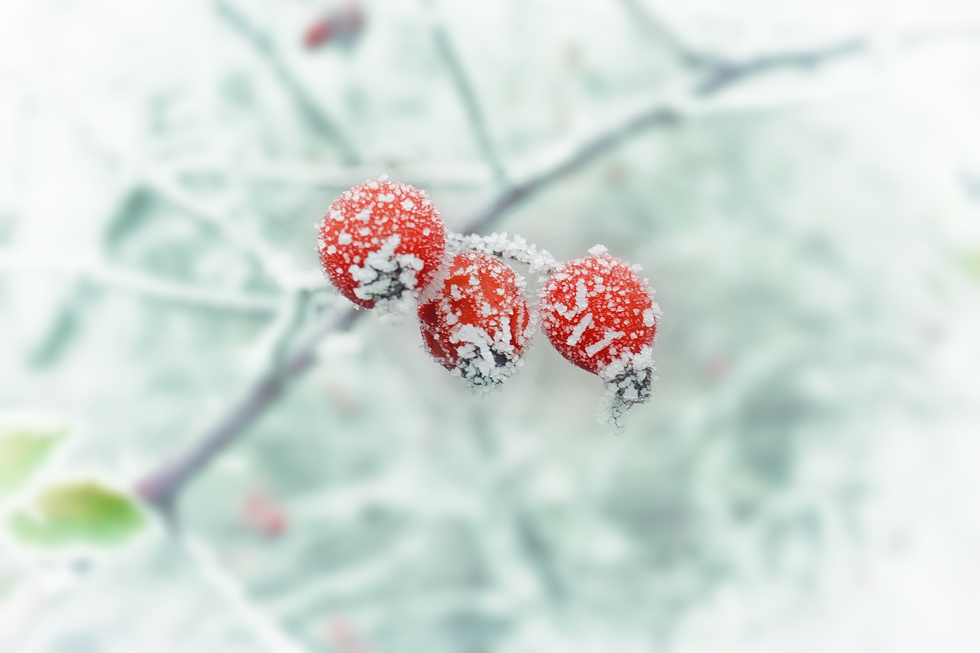 Winter is Coming: 5 tips for holiday PR